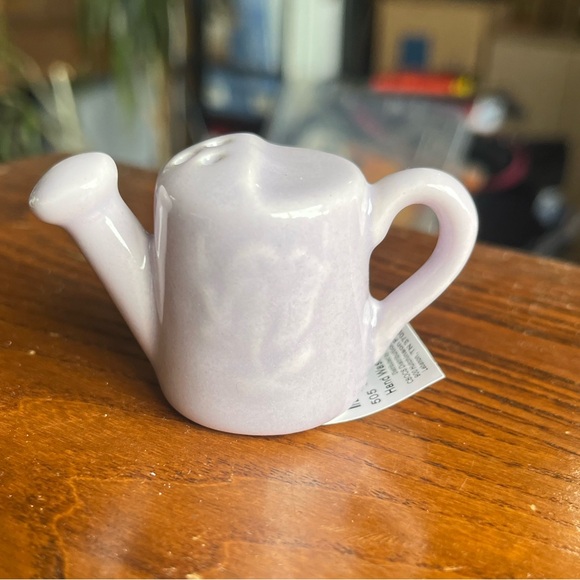 Set of Cracker Barrel Watering Can Salt and Pepper Shakers - Picture 3 of 7
